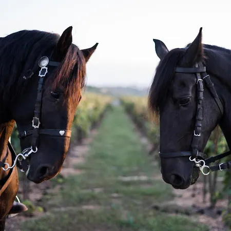 Hotel Torralbenc, A Small Luxury Of The World Cala En Porter (Menorca)