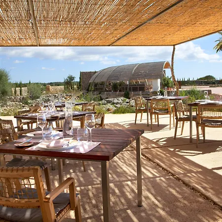 Torralbenc, A Small Luxury Of The World