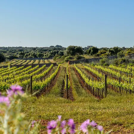 Torralbenc, A Small Luxury Of The World Отель 5*