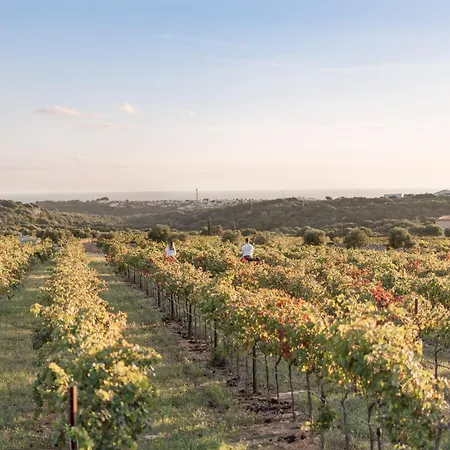 Torralbenc, A Small Luxury Of The World 5*