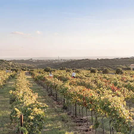 Torralbenc, A Small Luxury Of The World