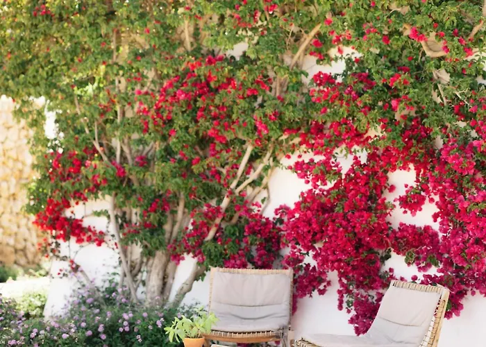 Torralbenc, A Small Luxury Of The World Cala En Porter (Menorca)