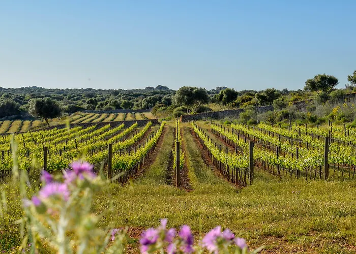 Torralbenc, A Small Luxury Of The World Отель 5*